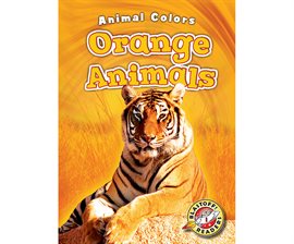 Cover image for Orange Animals