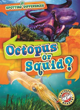 Cover image for Octopus or Squid?