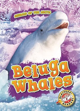 Cover image for Beluga Whales