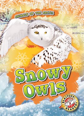 Cover image for Snowy Owls