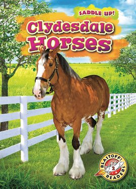 Cover image for Clydesdale Horses
