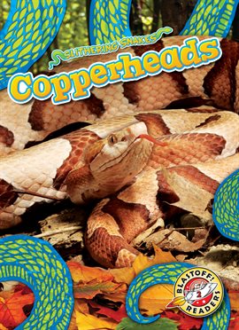 Imagen de portada para Copperheads