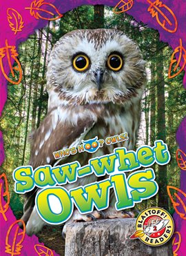 Imagen de portada para Saw-whet Owls