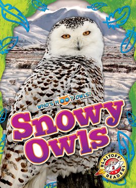 Imagen de portada para Snowy Owls