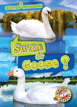 Cover image for Swan or Goose?