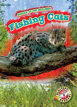 Cover image for Fishing Cats