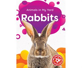 Imagen de portada para Rabbits
