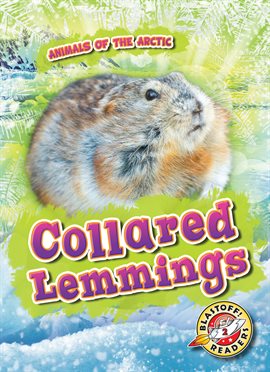 Cover image for Collared Lemmings