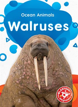 Imagen de portada para Walruses
