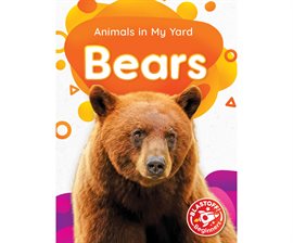 Imagen de portada para Bears