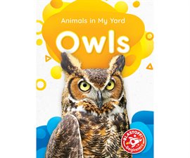 Imagen de portada para Owls