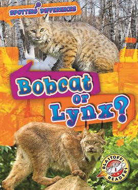 Cover image for Bobcat or Lynx?