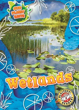 Imagen de portada para Wetlands