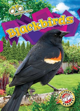 Imagen de portada para Blackbirds