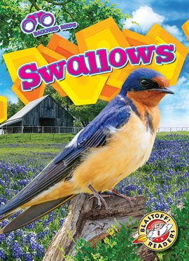 Imagen de portada para Swallows