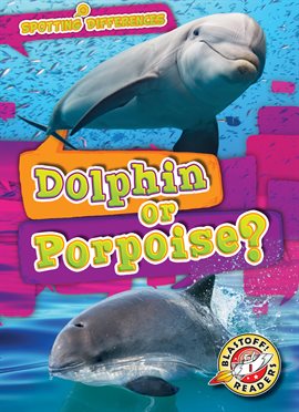 Cover image for Dolphin or Porpoise?
