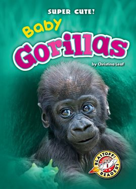 Cover image for Baby Gorillas