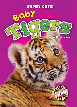 Cover image for Baby Tigers