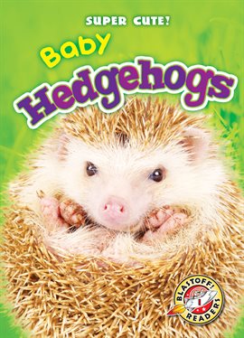 Cover image for Baby Hedgehogs