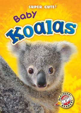 Cover image for Baby Koalas