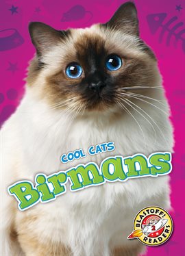 Cover image for Birmans
