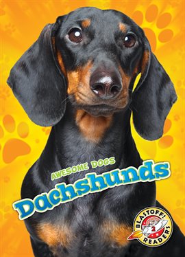 Cover image for Dachshunds