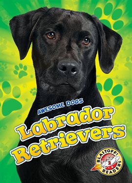 Cover image for Labrador Retrievers