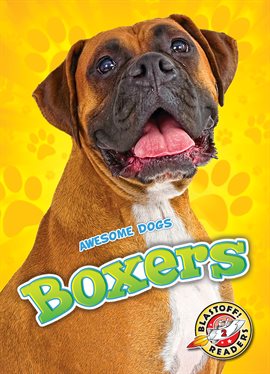 Cover image for Boxers