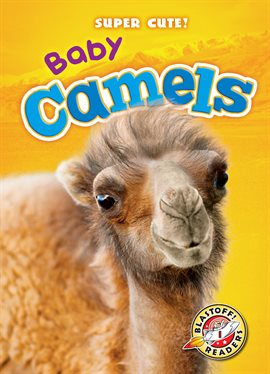 Cover image for Baby Camels
