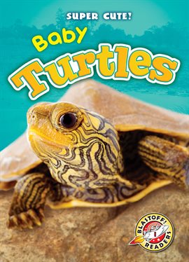 Cover image for Baby Turtles