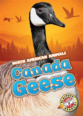 Cover image for Canada Geese