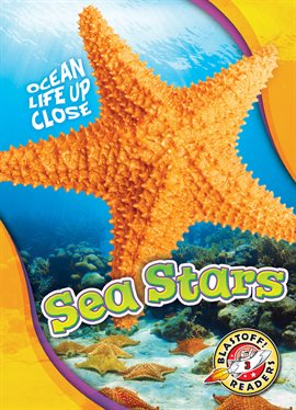 Cover image for Sea Stars