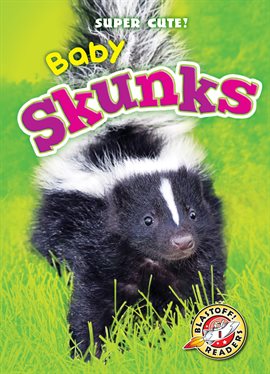 Cover image for Baby Skunks