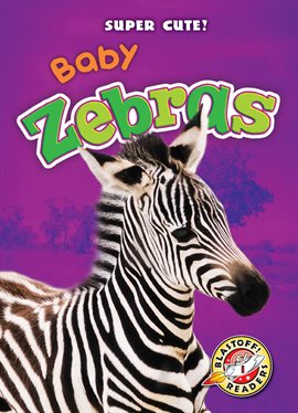 Cover image for Baby Zebras