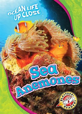 Cover image for Sea Anemones