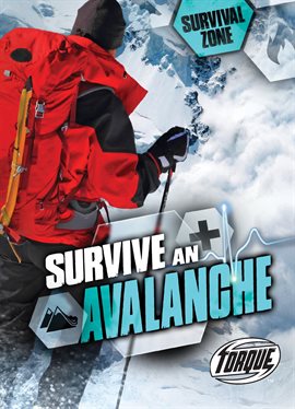 Imagen de portada para Survive an Avalanche