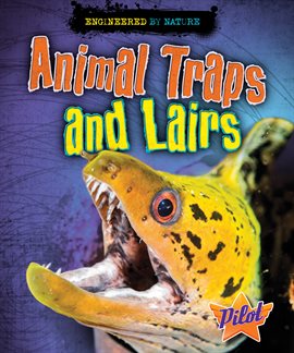 Cover image for Animal Traps and Lairs