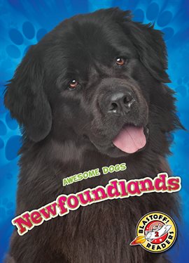 Cover image for Newfoundlands