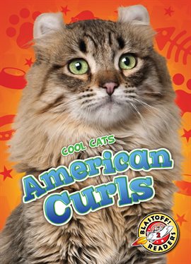 Cover image for American Curls