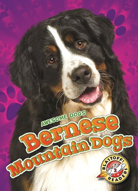 Cover image for Bernese Mountain Dogs