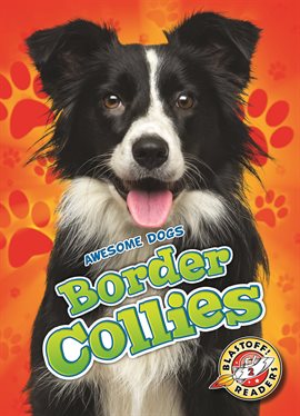Imagen de portada para Border Collies