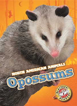 Cover image for Opossums