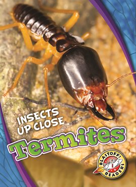 Cover image for Termites