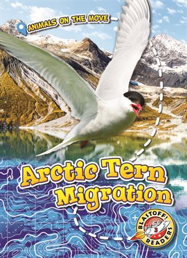Cover image for Arctic Tern Migration