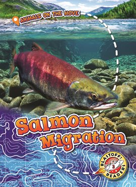 Cover image for Salmon Migration