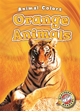 Cover image for Orange Animals