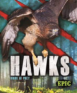 Cover image for Hawks