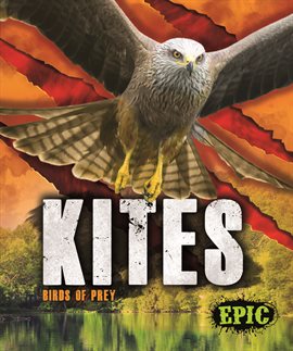 Cover image for Kites