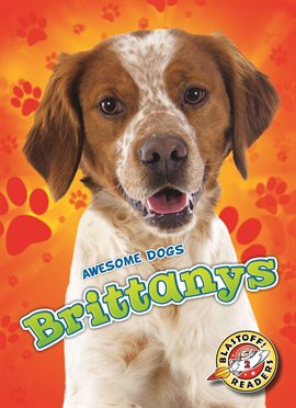 Cover image for Brittanys