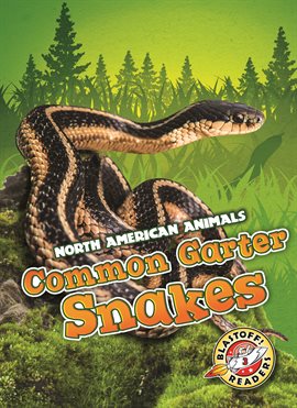 Cover image for Common Garter Snakes